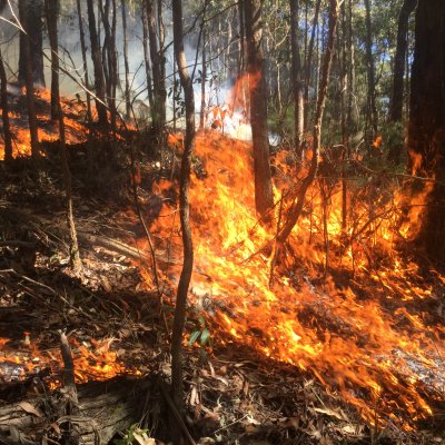 Bushfire 2016: Connecting Science, People and Practice will tackle the burning questions.