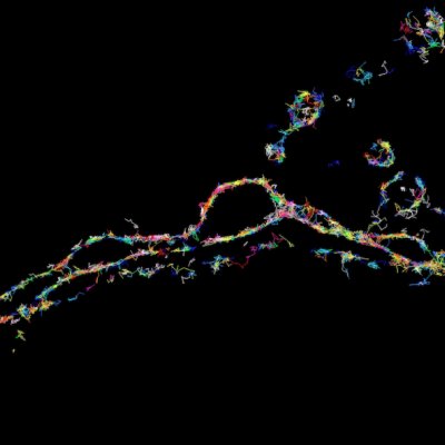 Protein essential for neuronal communication viewed via super-resolution microscopy