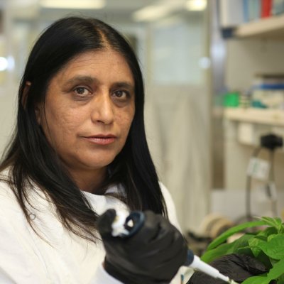 Professor Neena Mitter ...  discovery will provide an environmentally sustainable alternative to chemicals and pesticides