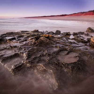 Dinosaur tracks in the Walmadany area. Credit: Damian Kelly