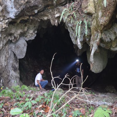 Lida Ajer cave. Credit: Julien Louys and Gilbert Price