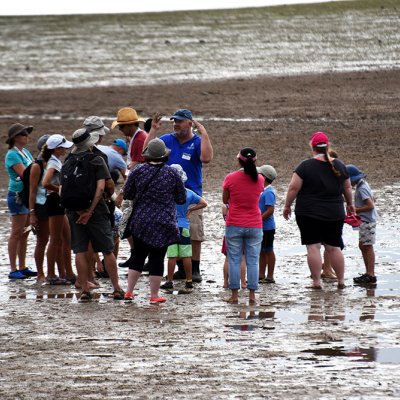 The Biodiversity Roadshow will include opportunities to get involved in citizen science activities