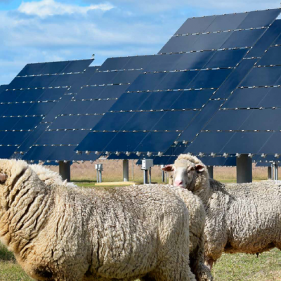 UQ produced 8.8 million kWh of clean energy from more than 47,000 individual solar panels in 2016