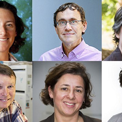 Headshots of the six ARC Laureate Fellows: Professor Tamara Davis, Professor Peter Visscher, Professor Christine Beveridge, Professor Bostjan Kobe, Professor Jolanda Jetten and Professor Hanns-Christoph Nägerl.