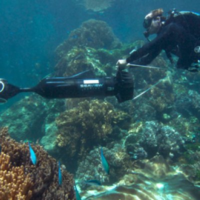 Catlin Global Reef Record is a free online resource that will become invaluable to scientific researchers