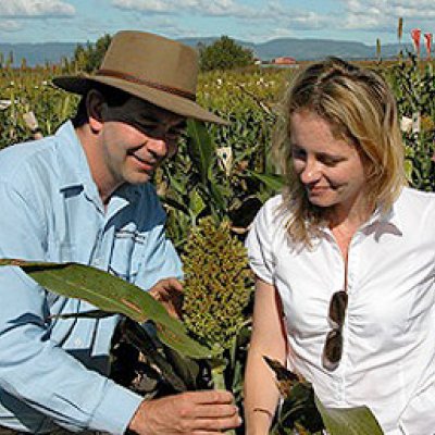 Dr David Jordan and Dr Emma Mace are part of a Queensland scientific team which has mapped the entire genome sequences of 44 sorghum lines