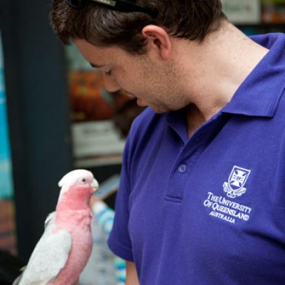 Rosie the Galah makes friends with UQ staff member Matthew Taylor.
