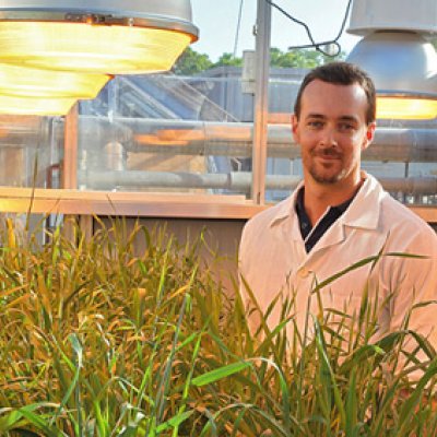 The University of Queensland’s Dr Lee Hickey and research team have discovered a gene that provides resistance to leaf rust in some barley variety adult plants.