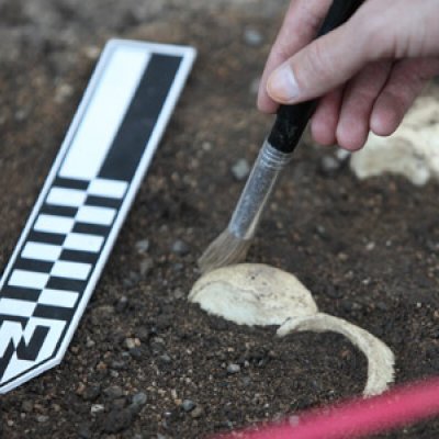UQ's new Archaeology Teaching and Research Centre is a $340,000 purpose-built outdoor teaching area where archaeology students can practice their excavation skills.