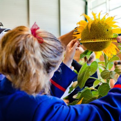 A Downlands College student participates in plant science activities during  last year’s Weigh-In Day event.