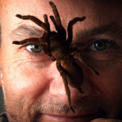 UQ Professor Glenn King gets up close to spiders for a project exploring the use of spider venom as an environmentally-friendly insecticide.