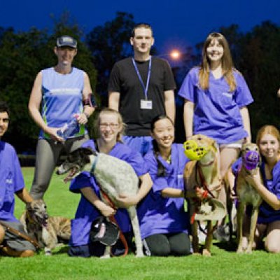 Clinical Studies Centre dogs and volunteer dog walkers took part in the Country Campus Challenge