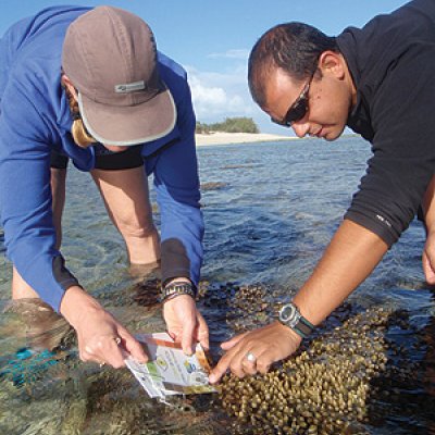 UQ scientists and volunteers measure coral health