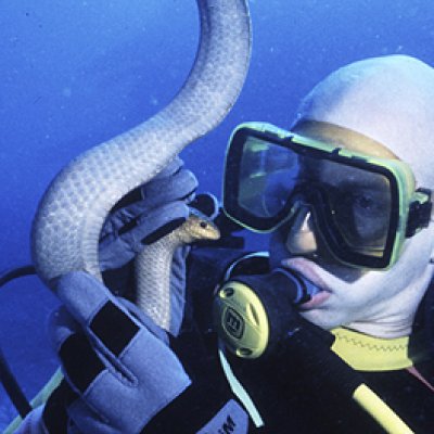 Professor Bryan Fry with the newly discovered sea snake