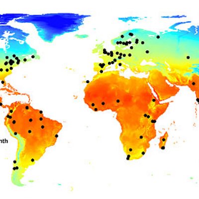 The magnitude of habitat loss/fragmentation effects were greatest in regions 
with high maximum temperatures