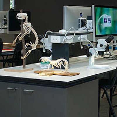 Some of the new learning facilities situated within the School of Biological Sciences