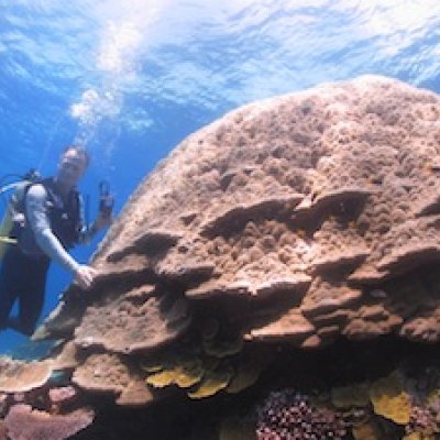 Stuart Kininmonth . . . has "a dream job" in tropical Queensland