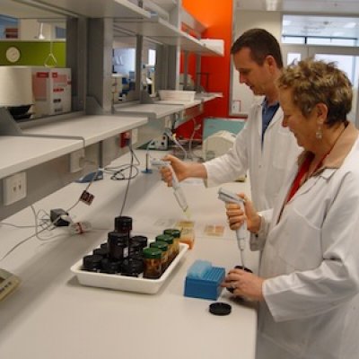 DEEDI scientists working on the QAAFI medicinal honey research project, Margaret Currie and Andrew Cusack, testing the infection-fighting power of an Australian native myrtle honey.