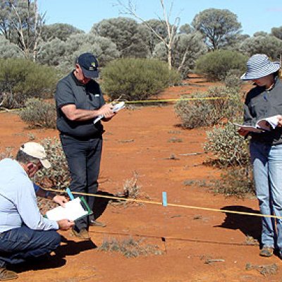 Conducting fieldwork during the Advanced Rangeland Ecology course