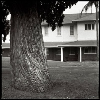 A photograph from the exhibition