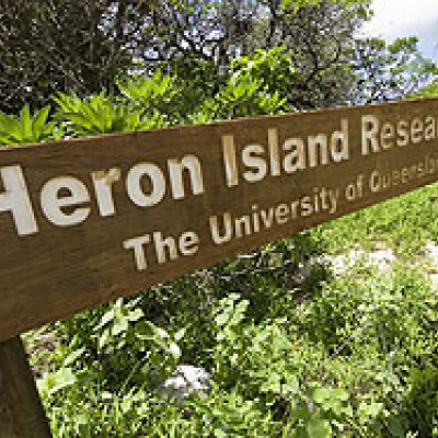 Heron Island