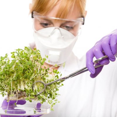UQ is seeking participants in a trial to investigate the effects of sprouted broccoli capsules on Type 2 diabetic patients.