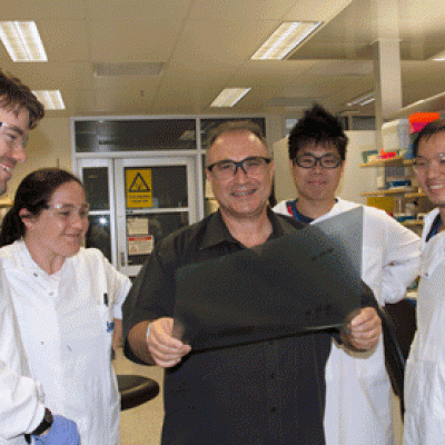 IMB's Professor George Muscat with Dr Michael Pearen, Dr Rebecca Fitzsimmons and PhD students Kelvin Tuong and Tae Gyu Oh.