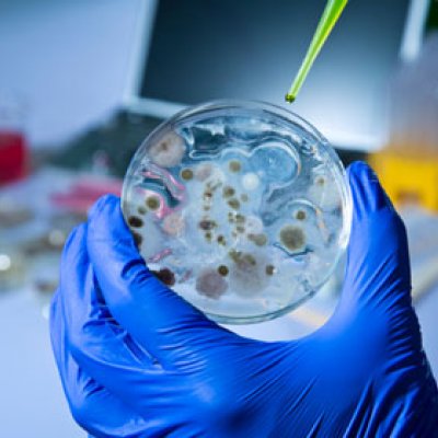 3MT finalists have just three minutes to communicate complicated issues like disease study.