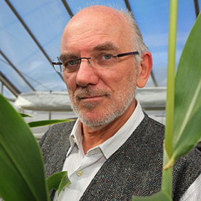 The Queensland node of the centre will be led by Professor Graeme Hammer from UQ’s Queensland Alliance for Agriculture and Food Innovation.