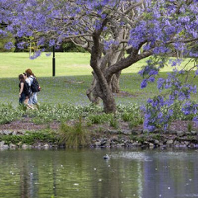 A very strong result for UQ, in a new US-based ranking table