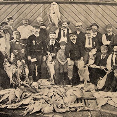 Above: Nineteenth century recreational fishers would regularly catch hundreds of fish off the coast of Queensland, often in just a few hours of fishing (Photo: T. Welsby, 1905)