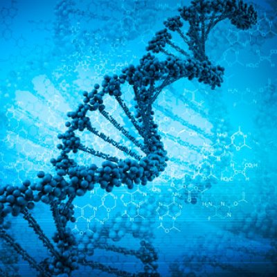 A UQ clinical trial will focus on the connection between diet and how genes are controlled. Source: iStock.