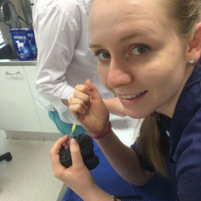 Emma McMillan feeds a tiny bandicoot joey.