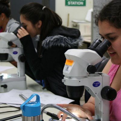 School students learning about science careers at an InspireU camp at UQ in 2014 