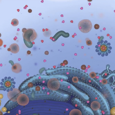 Inflammasome animation.