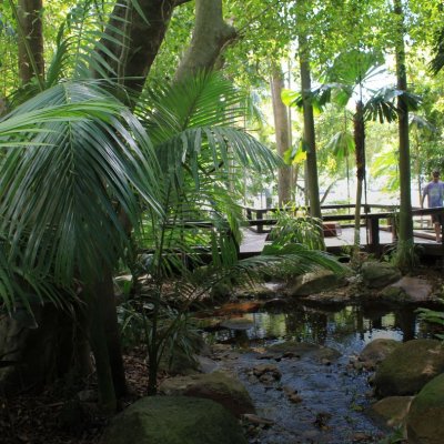 Southbank's Rain Bank in Brisbane