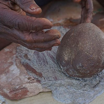 Traditionally, the seeds were ground to a raw paste and eaten as a cold gruel – like a eucalyptus-flavoured porridge.