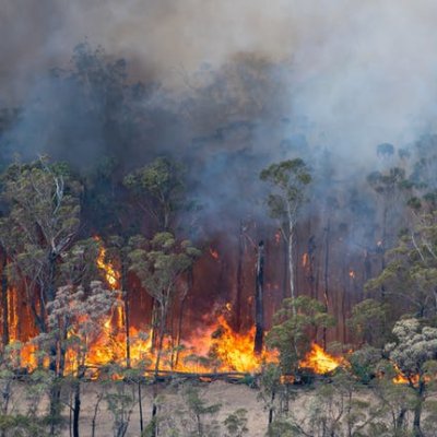 Fire burns through a stretch of Australian bush.