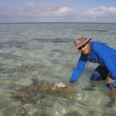 Professor Justin Marshall discovered the world's most complex colour vision system, in mantis shrimp