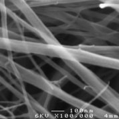 Close up of cellulose fibre network 