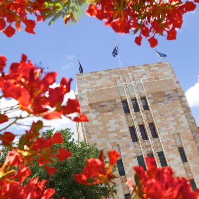 Poinciana tree and sandstone building