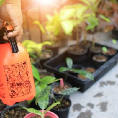 A person holding a spray bottle standing in front of plants at a plant nursery