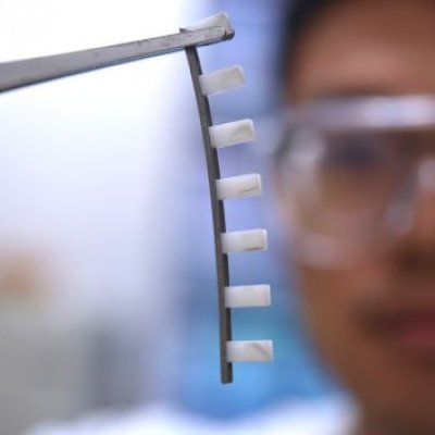 Animal-inspired liquid metal 'spines' in focus being held with tweezers with a researcher wear safety goggles in the background.