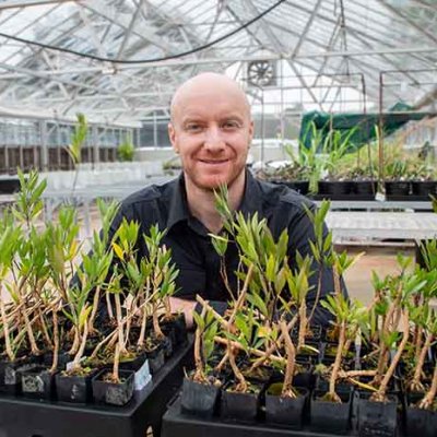 a man with a beard sits behind a tray of small plants in a glasshouse