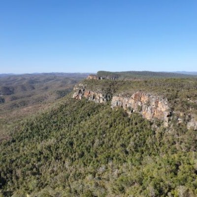 Rainforest at Cania Gorge in Queensland's North Burnett region.