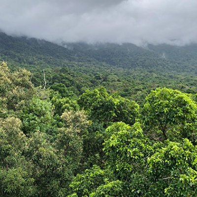 a view of forested hills with clouds above the top of the slope