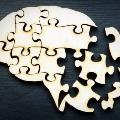 A puzzle of the human brain with pieces incomplete.
