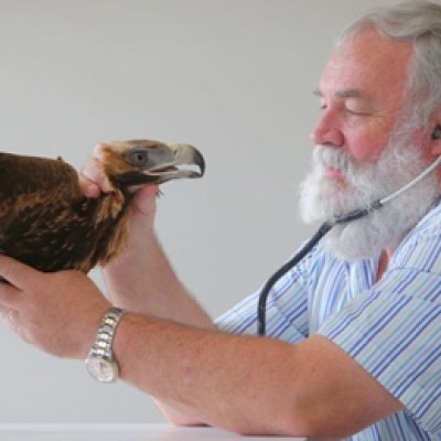 Eva and Associate Professor Bob Donely at the UQ Veterinary Medical Centre. Photo: Jamie Hanson, The Courier-Mail