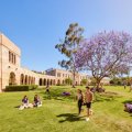 Students walking on the grass in the Great Court