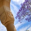 Sandstone pillar with Jacaranda tree in full bloom in the distance.